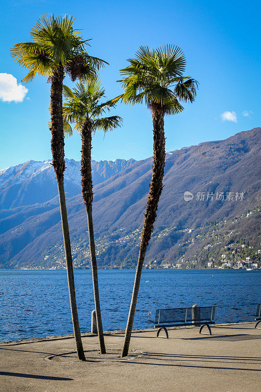 Lago Maggiore，阿斯科纳，提契诺，瑞士-2019